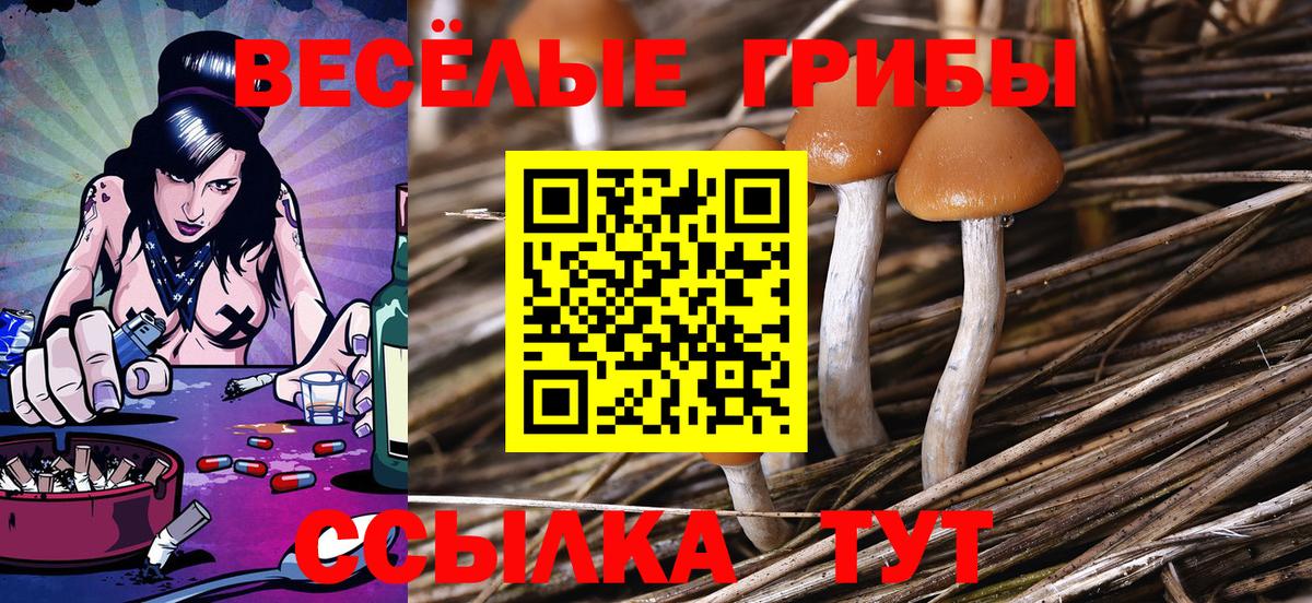 Псилоцибиновые грибы мицелий Йошкар-Ола